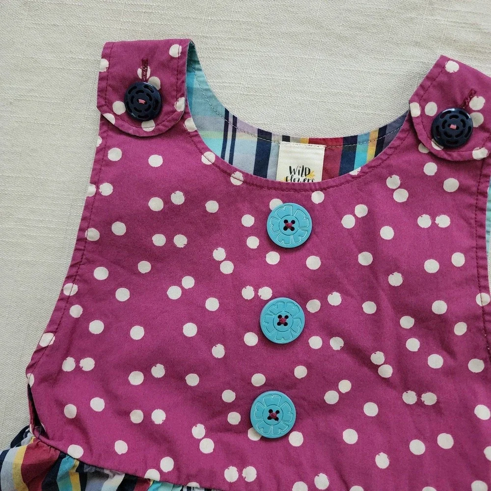 Wildflowers Polka Dot Plaid Dress 4t